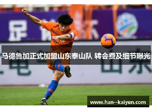 马德鲁加正式加盟山东泰山队 转会费及细节曝光